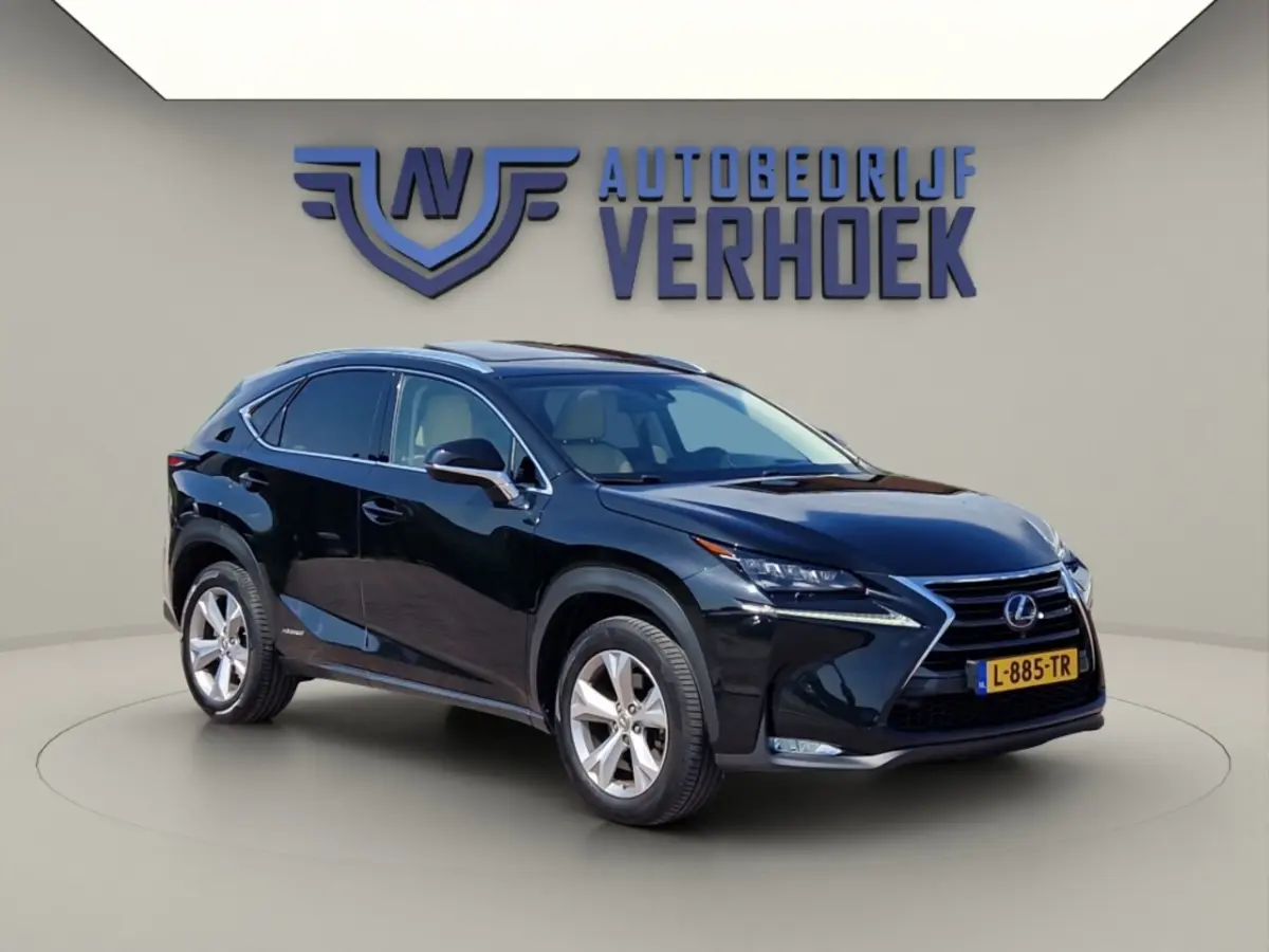 300h AWD President Line - Mark Levinson - Schuifdak