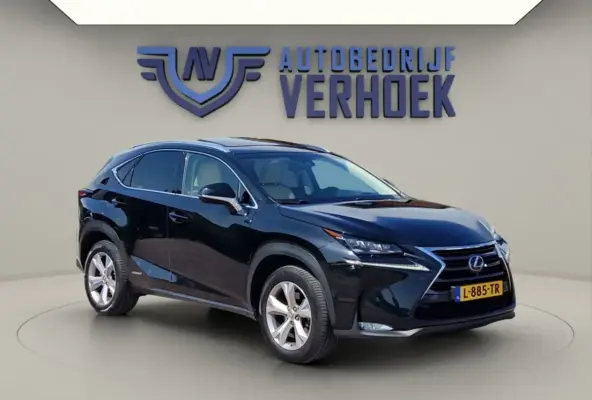 300h AWD President Line - Mark Levinson - Schuifdak