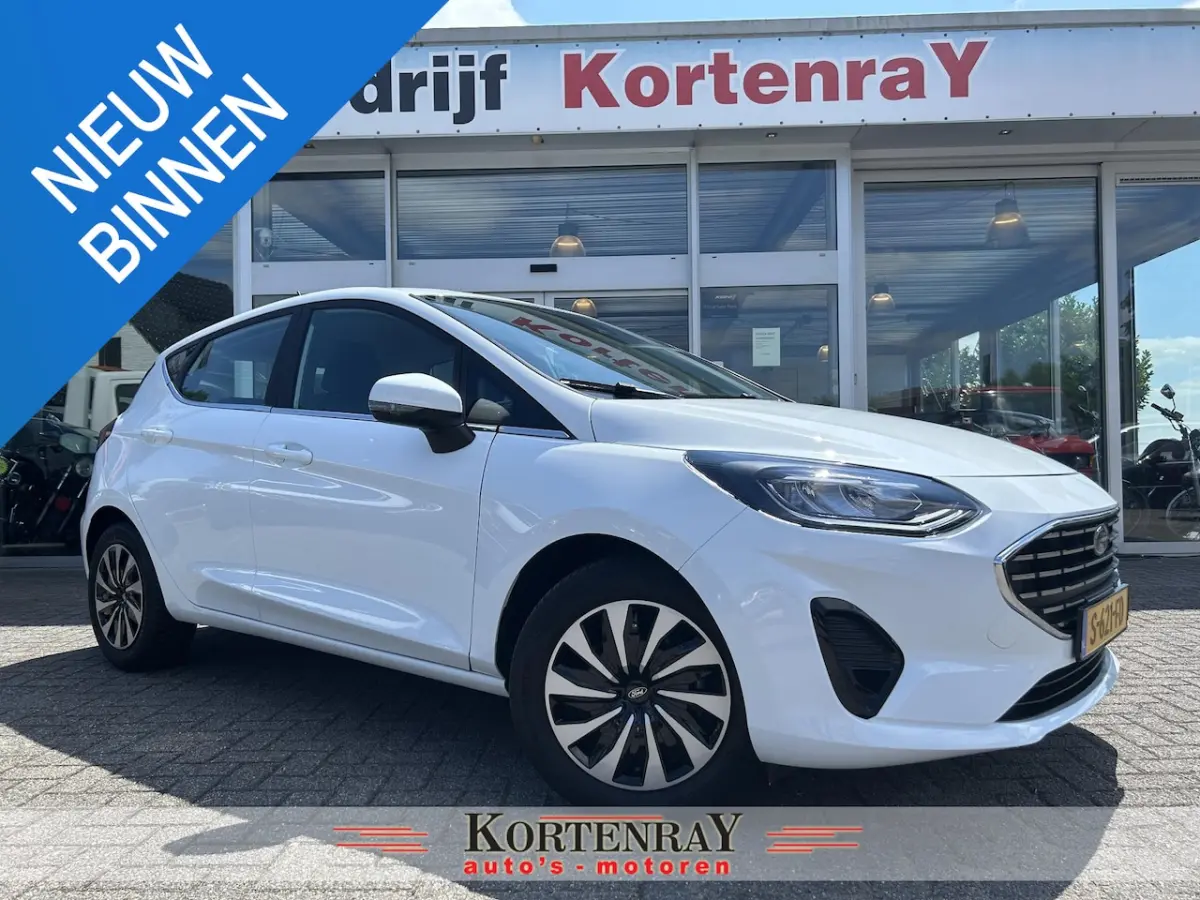 1.0 EcoBoost Hybrid Titanium /cruise control/airco/digitaal dealer onderhouden/nieuwstaat