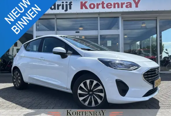 1.0 EcoBoost Hybrid Titanium /cruise control/airco/digitaal dealer onderhouden/nieuwstaat