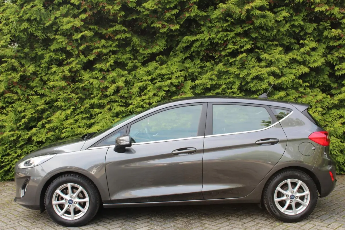 1.0 EcoBoost Hybrid Titanium 125PK | Climate Control | NAVI | LMV | PDC V+A | Cruise Contr