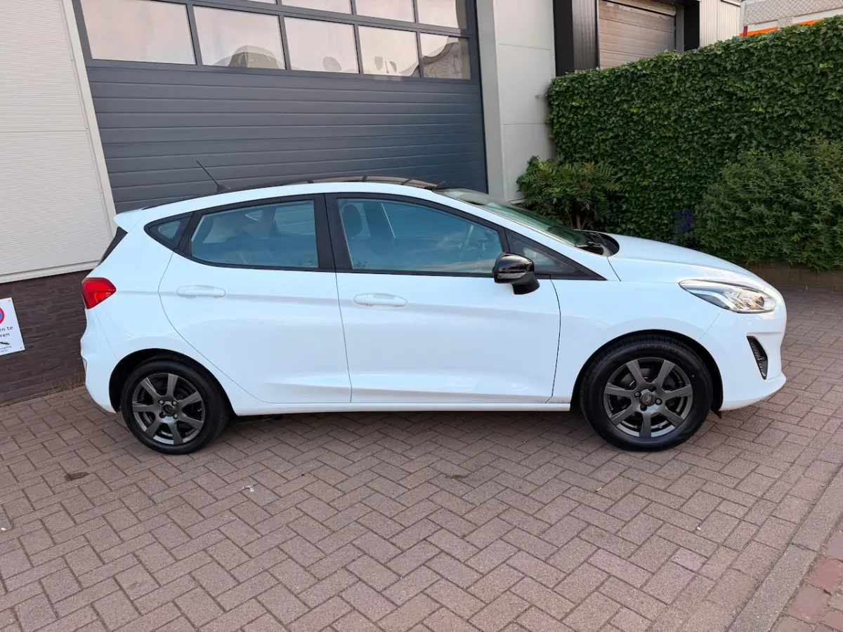 1.0 EcoBoost Titanium/Climate-c/Stoel verwarming/Lane Assist/Snelheidsbegrenzer/Mooi auto