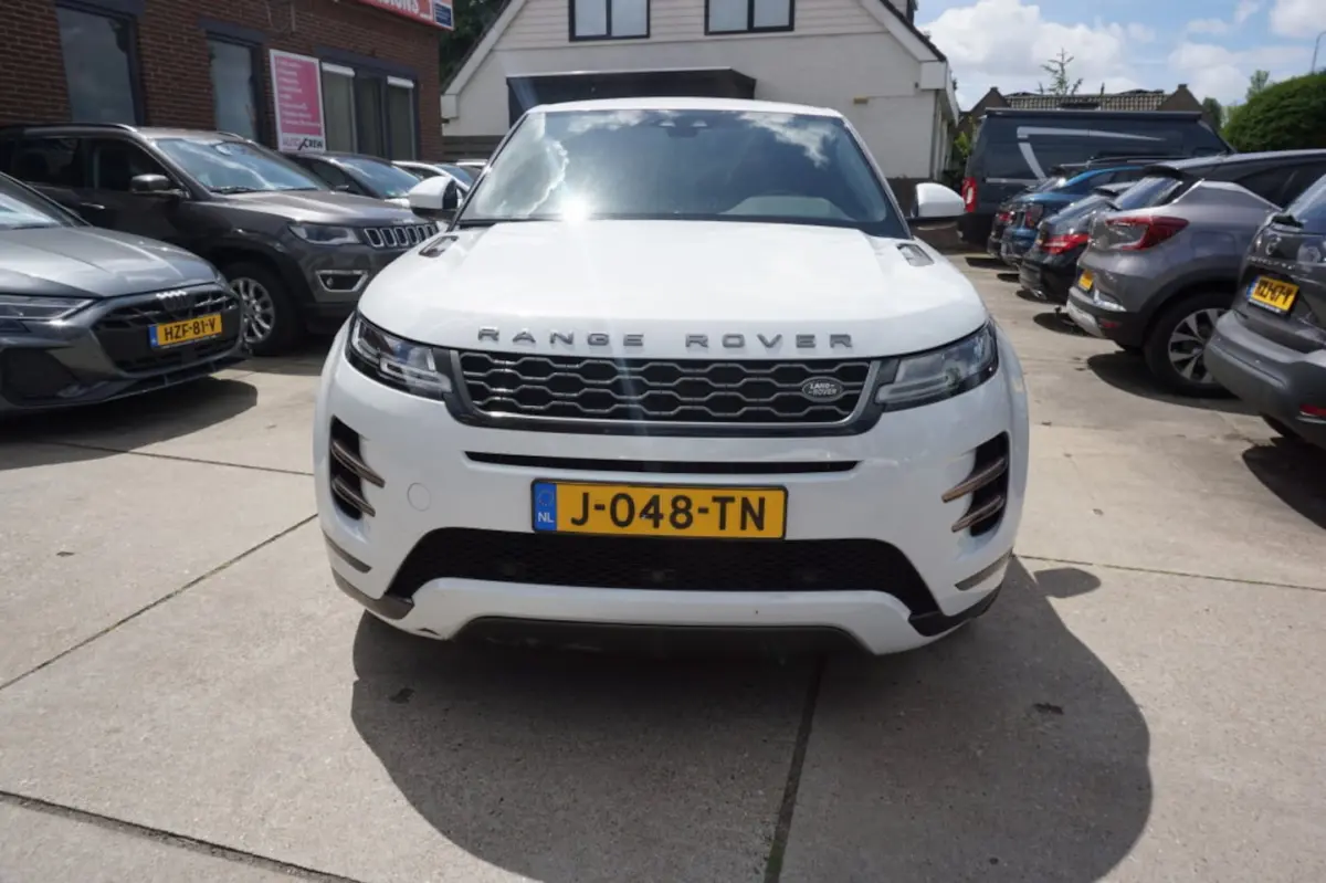 P250 249pk AWD Aut R-Dynamic SE Leder
