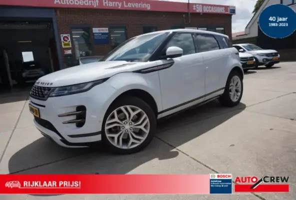 P250 249pk AWD Aut R-Dynamic SE Leder