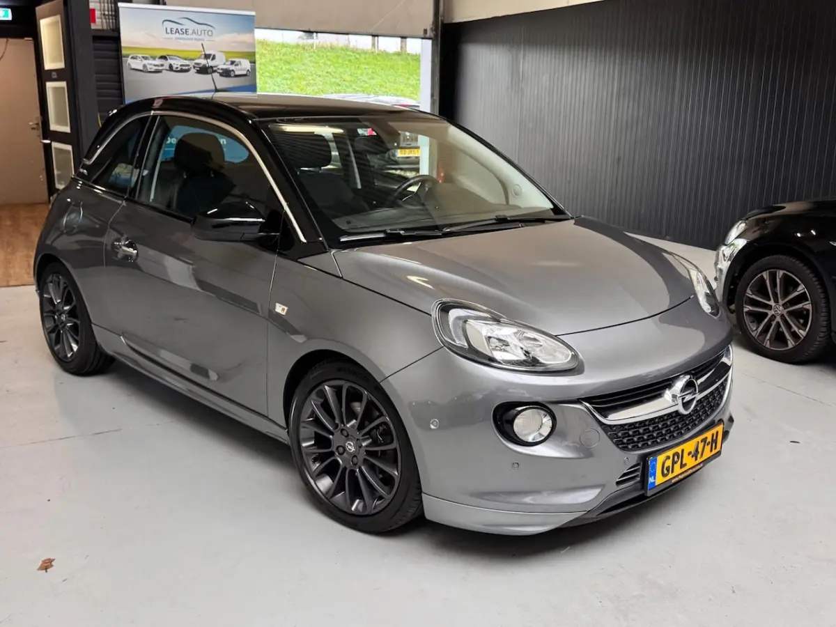 1.0 Turbo Rocks 2018 Panoramadak Carlplay PDC Cruise