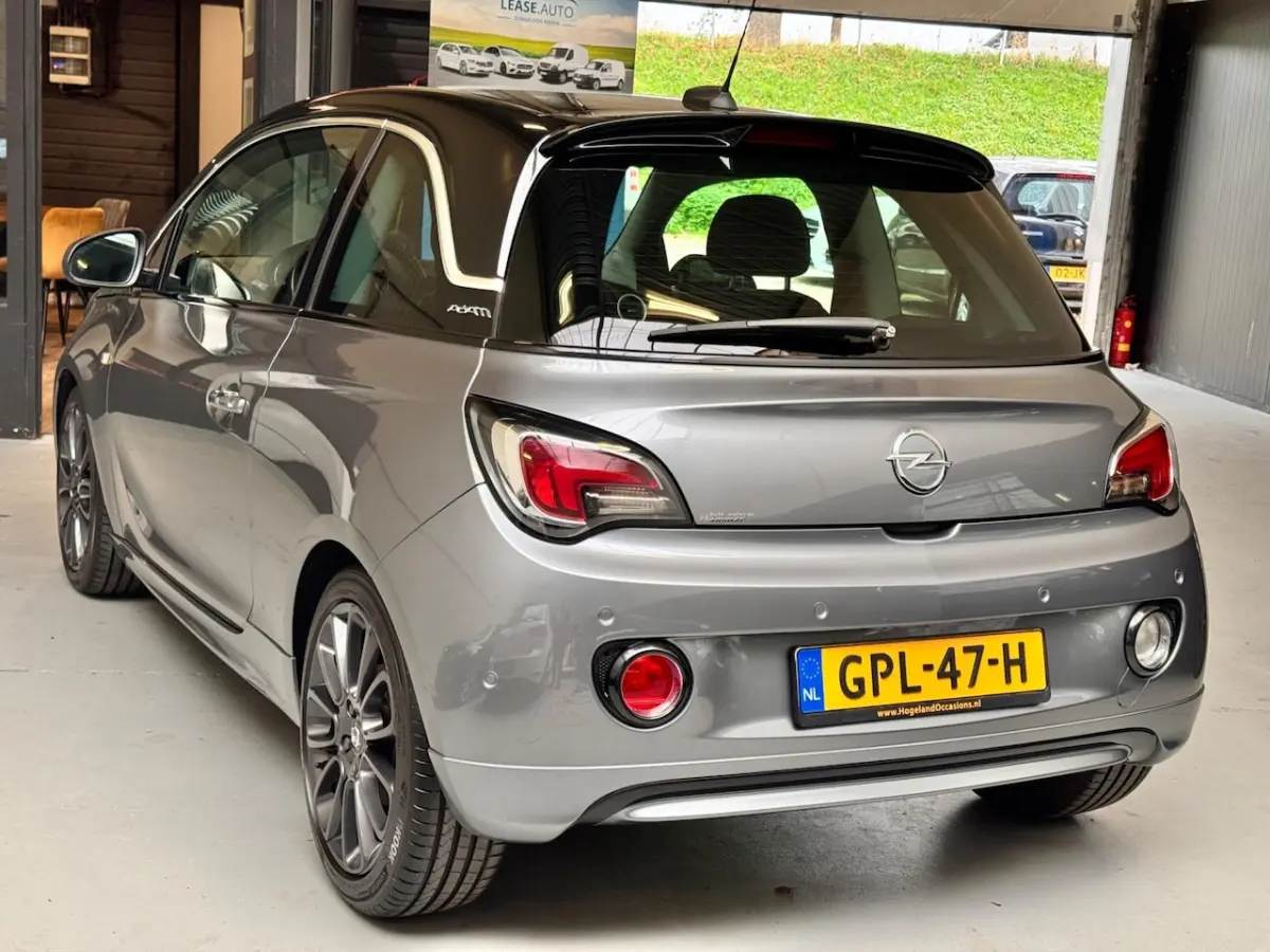1.0 Turbo Rocks 2018 Panoramadak Carlplay PDC Cruise