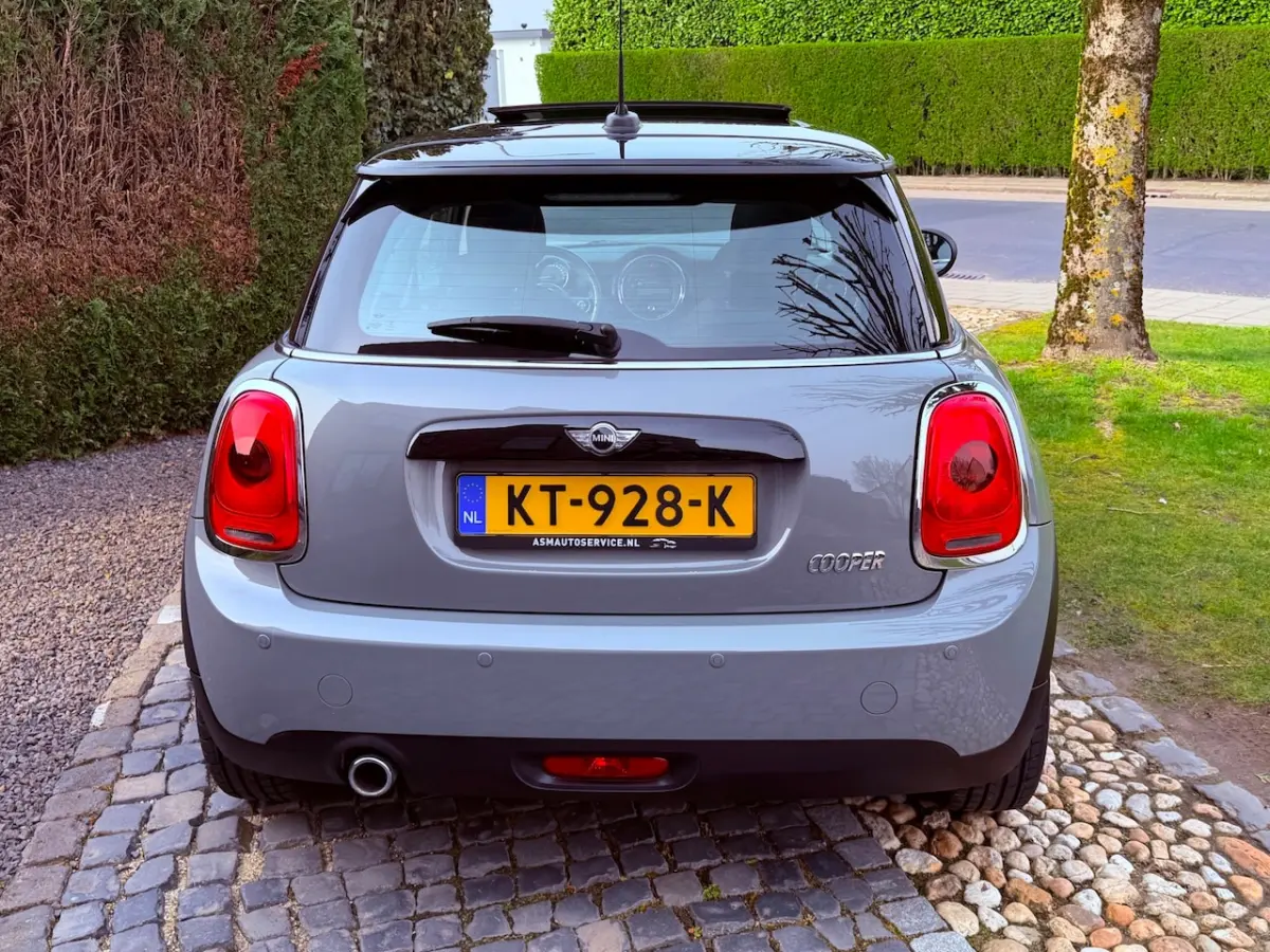 1.5 Business Panoramadak Navi