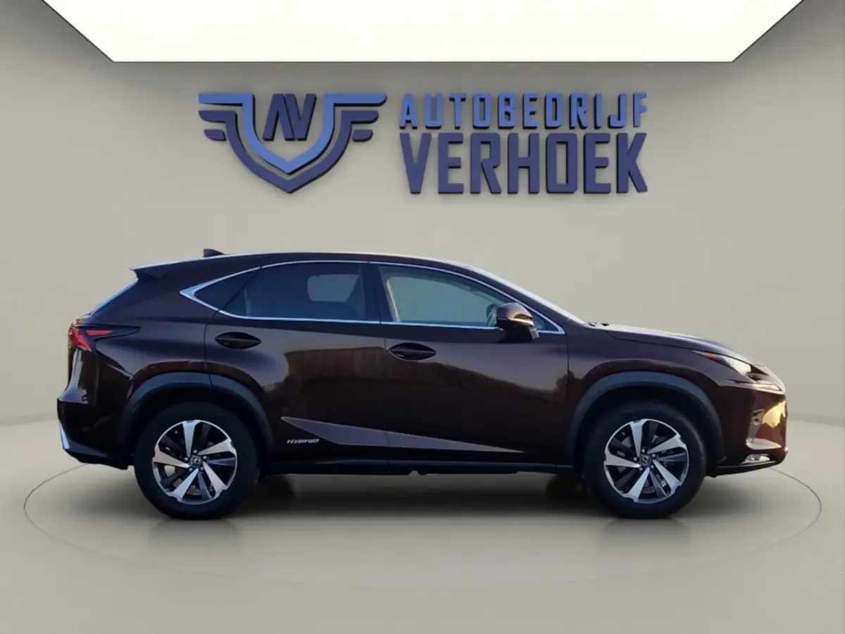 300h AWD Executive Line + President Pack - NL Auto - Panodak