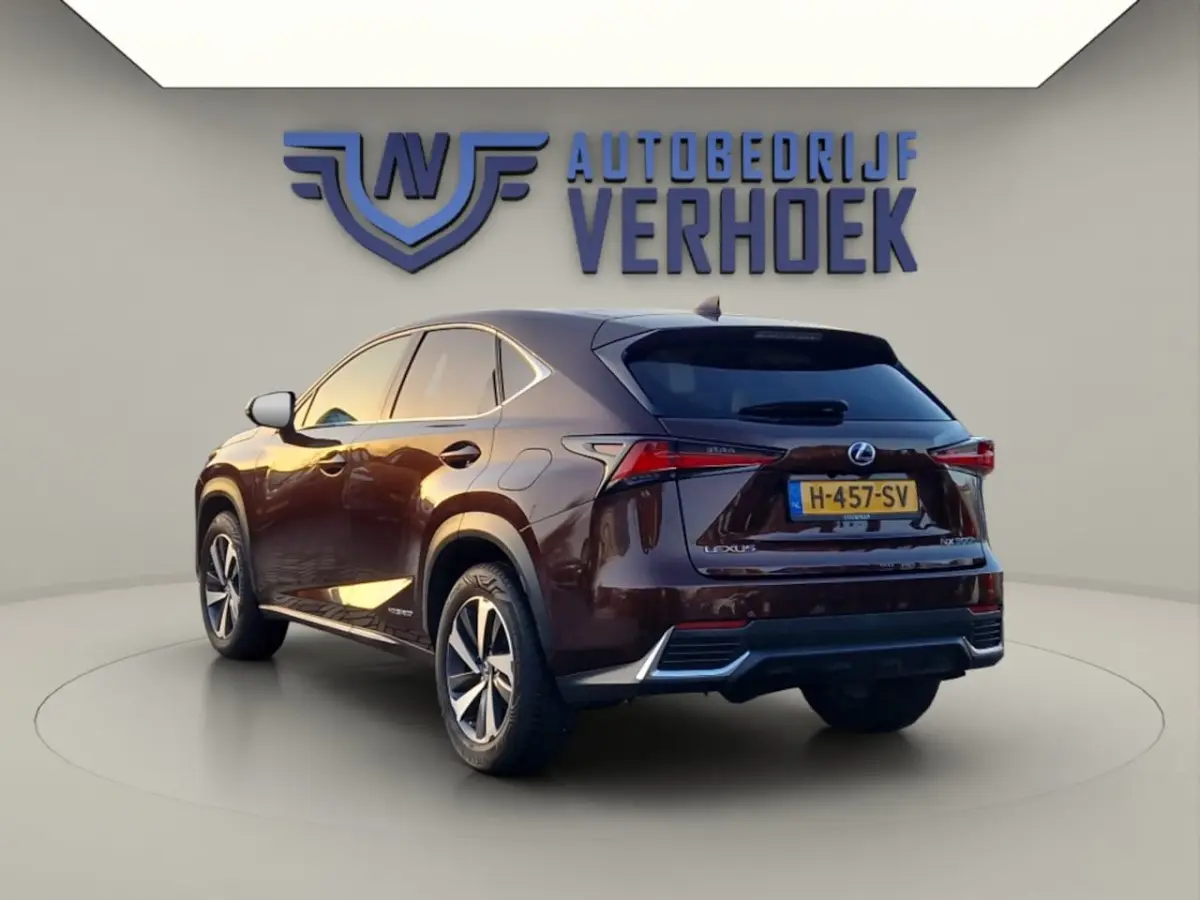 300h AWD Executive Line + President Pack - NL Auto - Panodak
