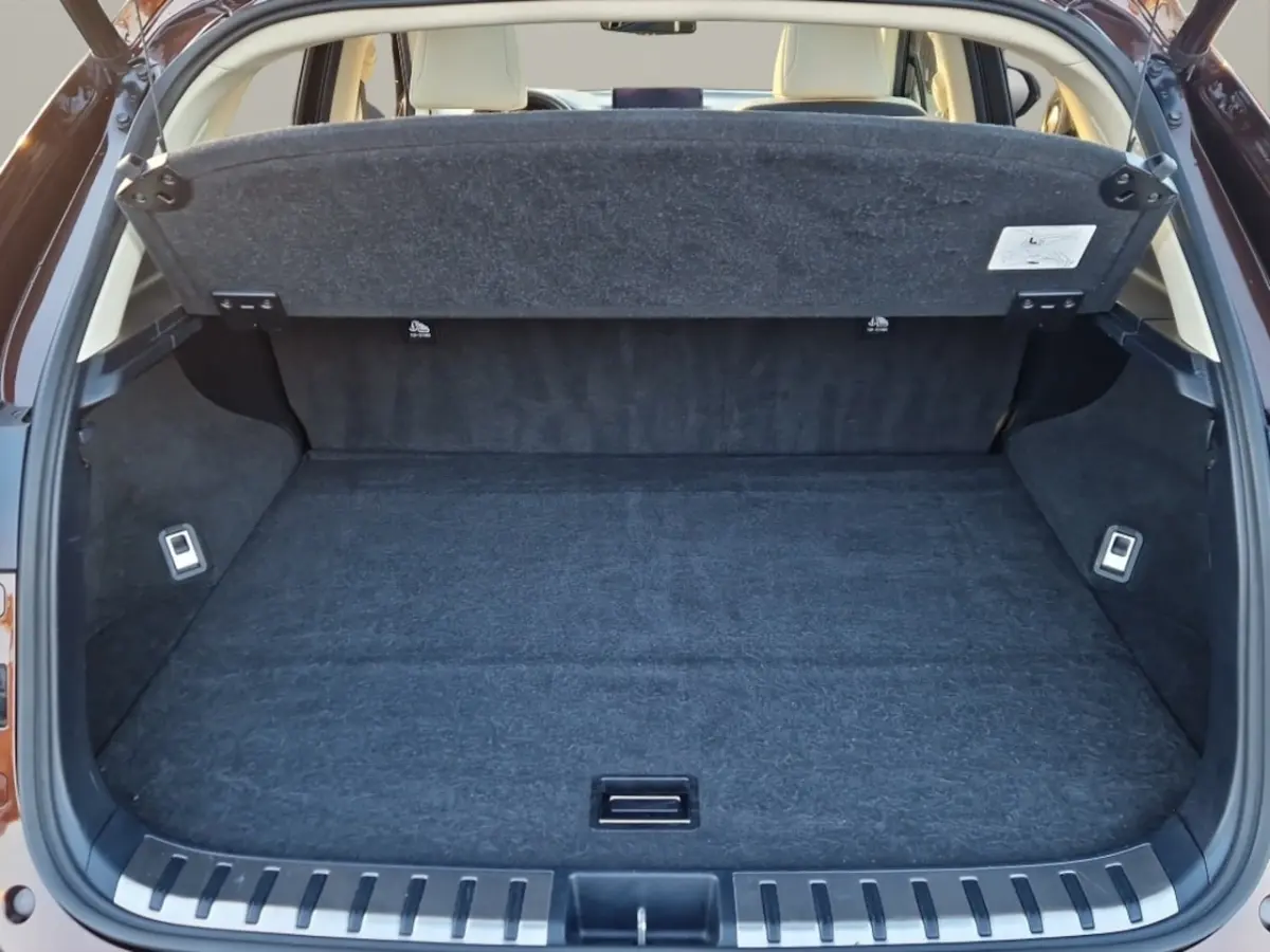 300h AWD Executive Line + President Pack - NL Auto - Panodak
