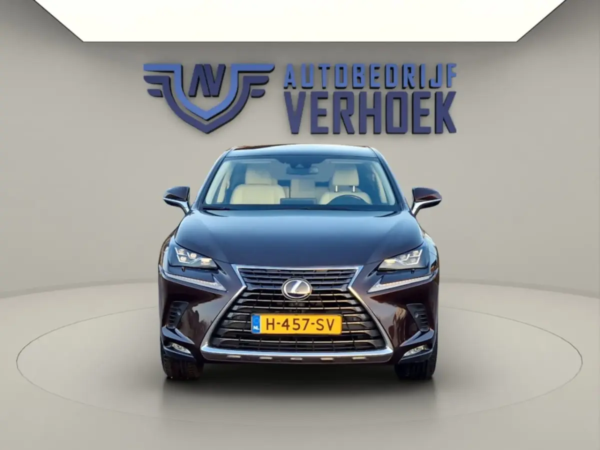 300h AWD Executive Line + President Pack - NL Auto - Panodak