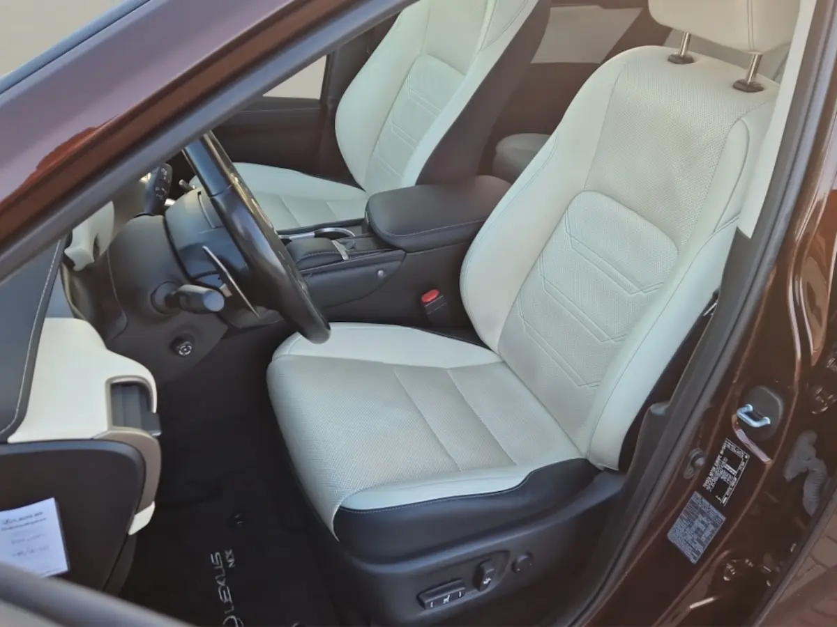 300h AWD Executive Line + President Pack - NL Auto - Panodak