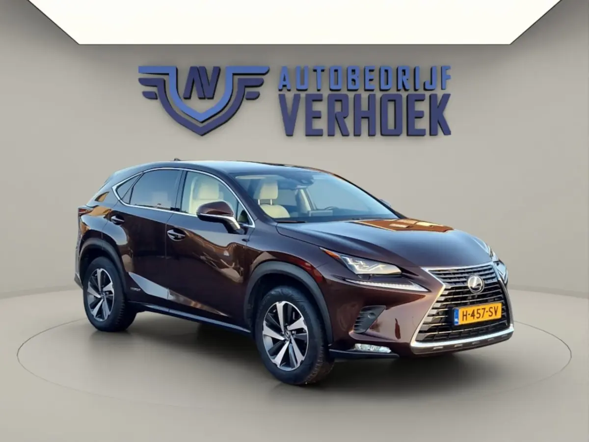 300h AWD Executive Line + President Pack - NL Auto - Panodak