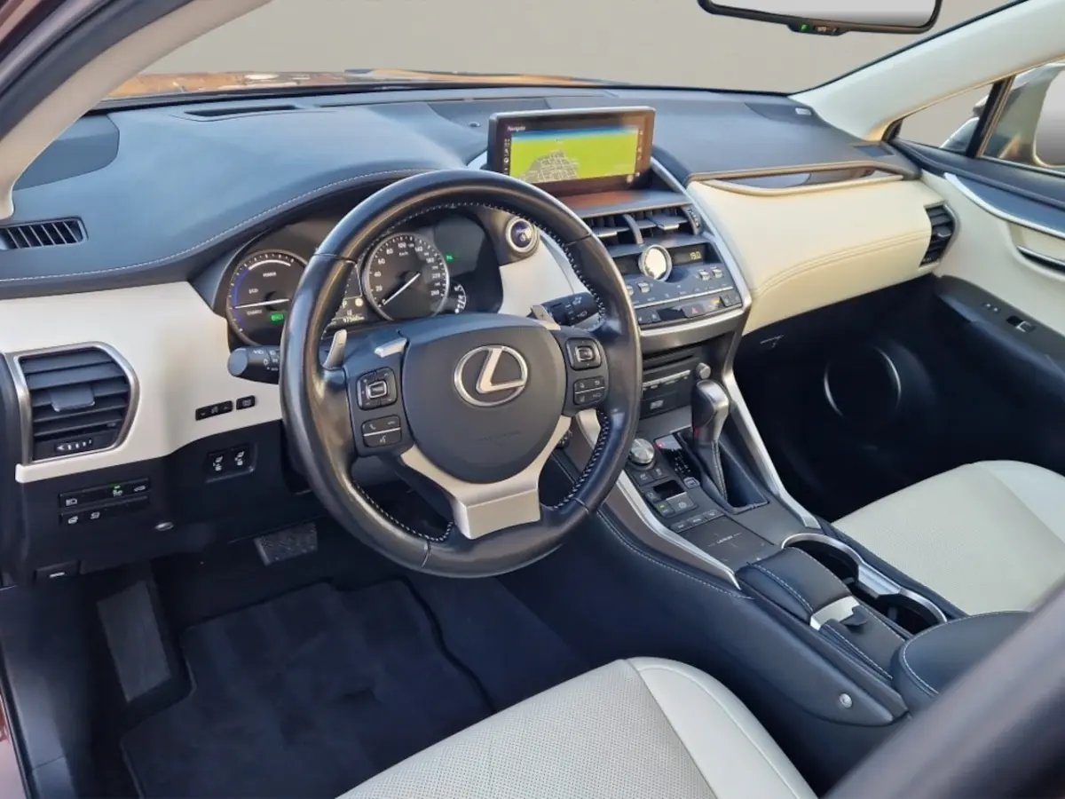 300h AWD Executive Line + President Pack - NL Auto - Panodak