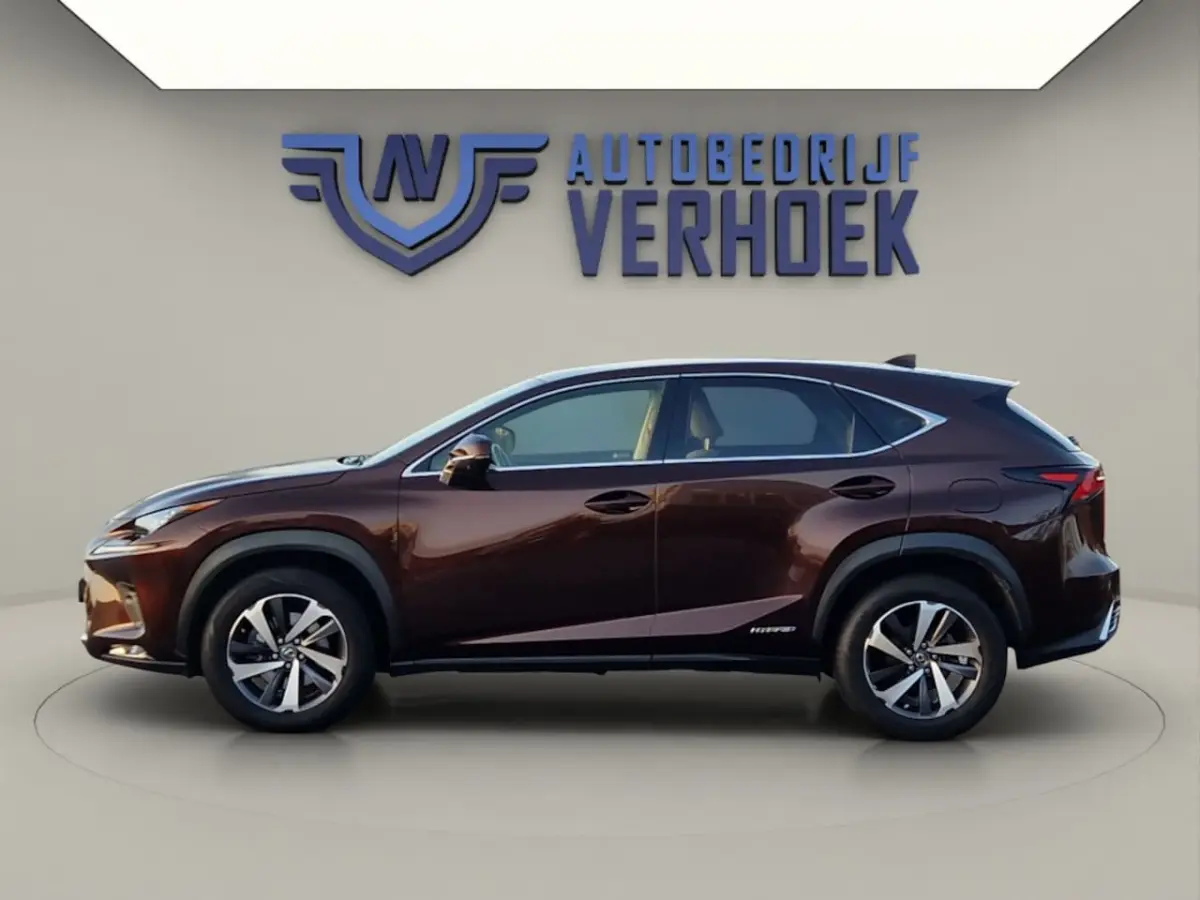 300h AWD Executive Line + President Pack - NL Auto - Panodak