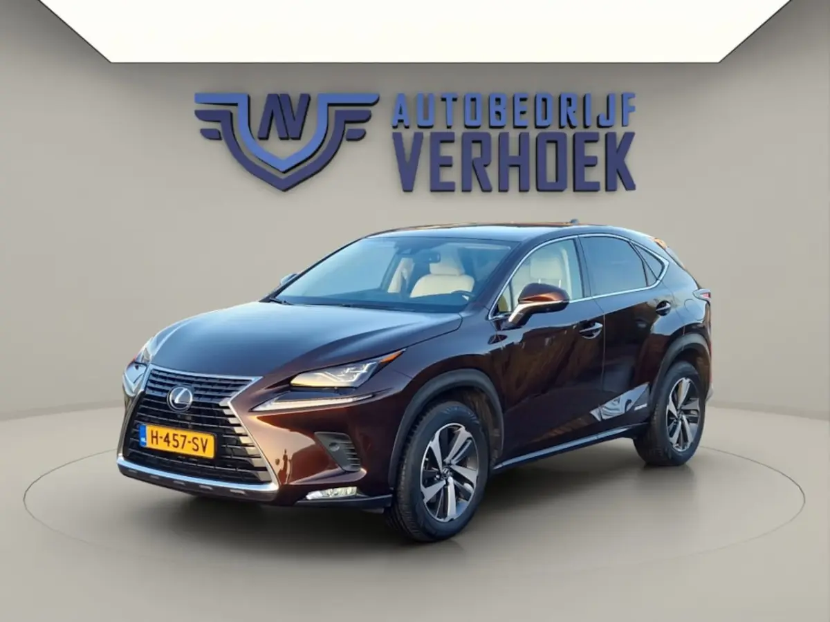 300h AWD Executive Line + President Pack - NL Auto - Panodak