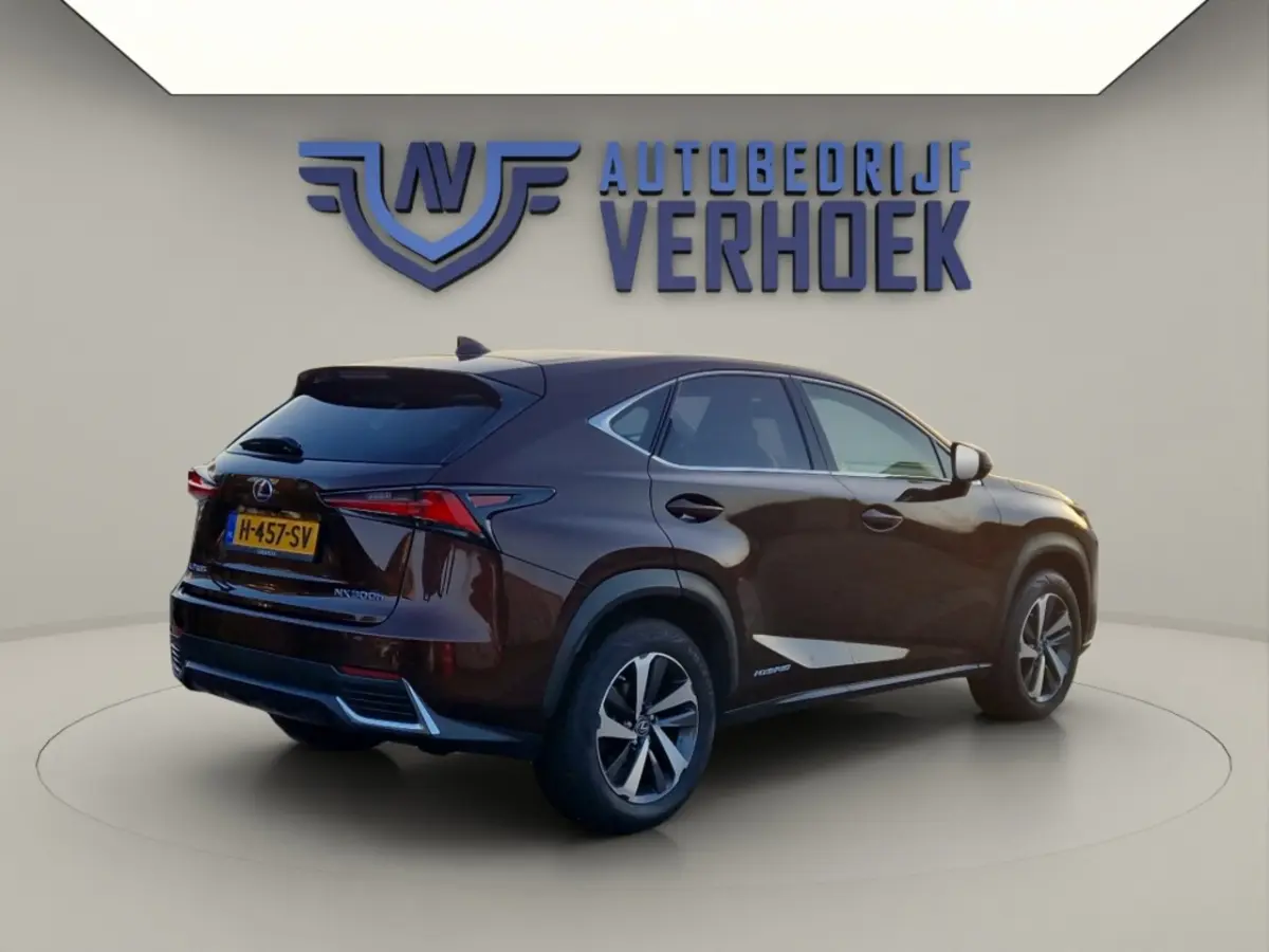 300h AWD Executive Line + President Pack - NL Auto - Panodak