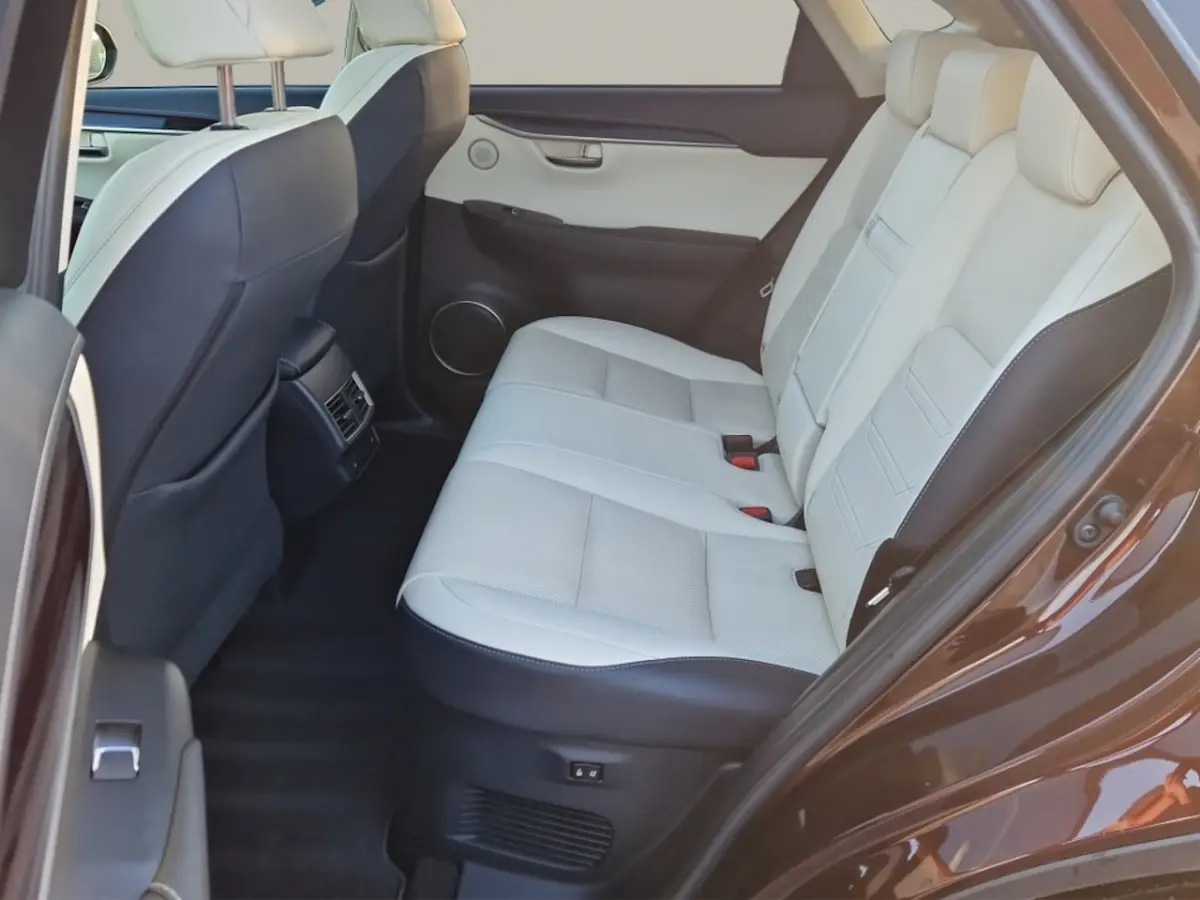 300h AWD Executive Line + President Pack - NL Auto - Panodak