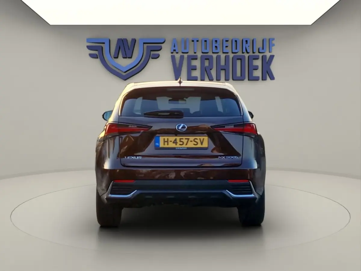 300h AWD Executive Line + President Pack - NL Auto - Panodak