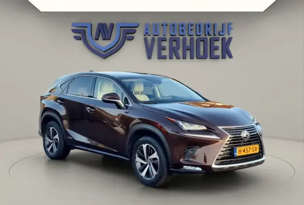 300h AWD Executive Line + President Pack - NL Auto - Panodak