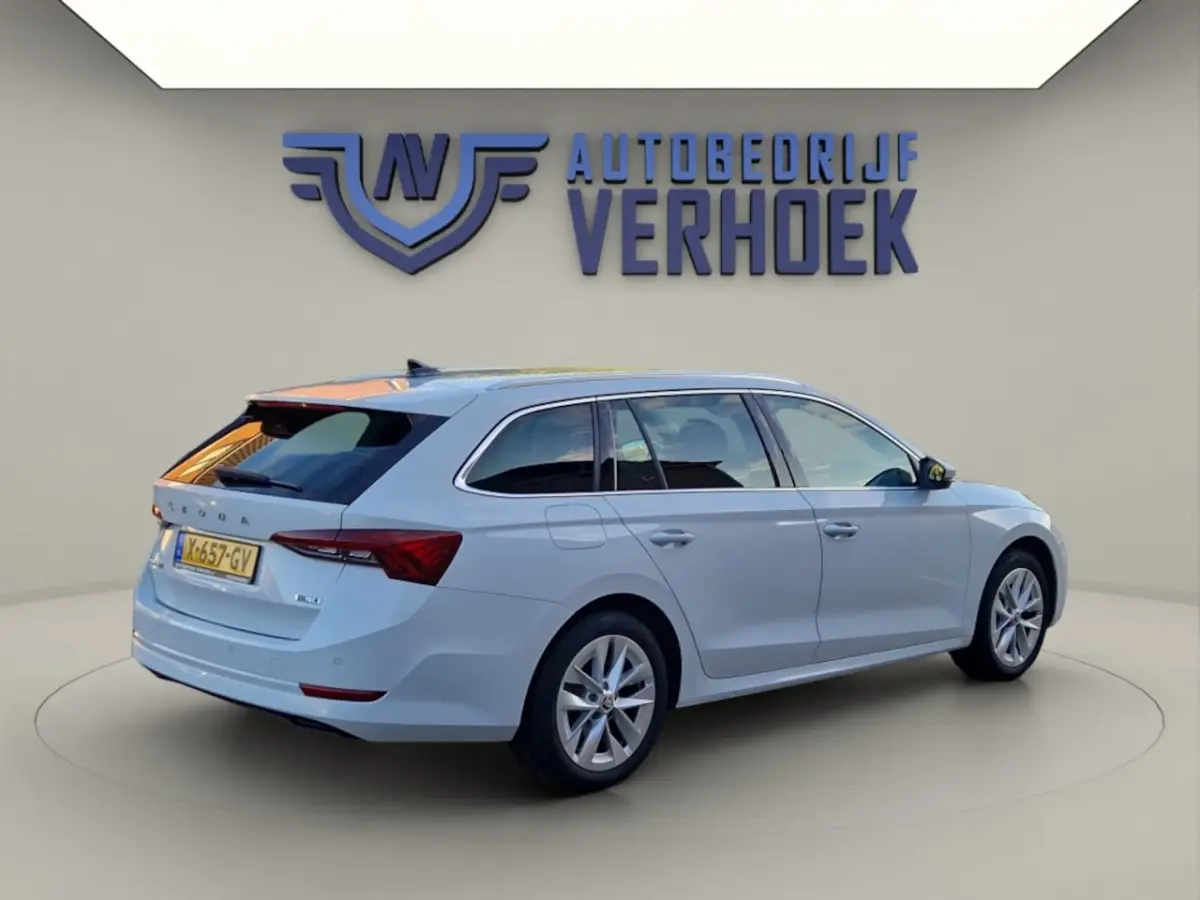 1.0 e-TSI 110PK Automaat Business Edition - NL Auto