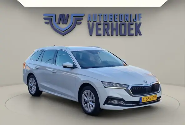1.0 e-TSI 110PK Automaat Business Edition - NL Auto