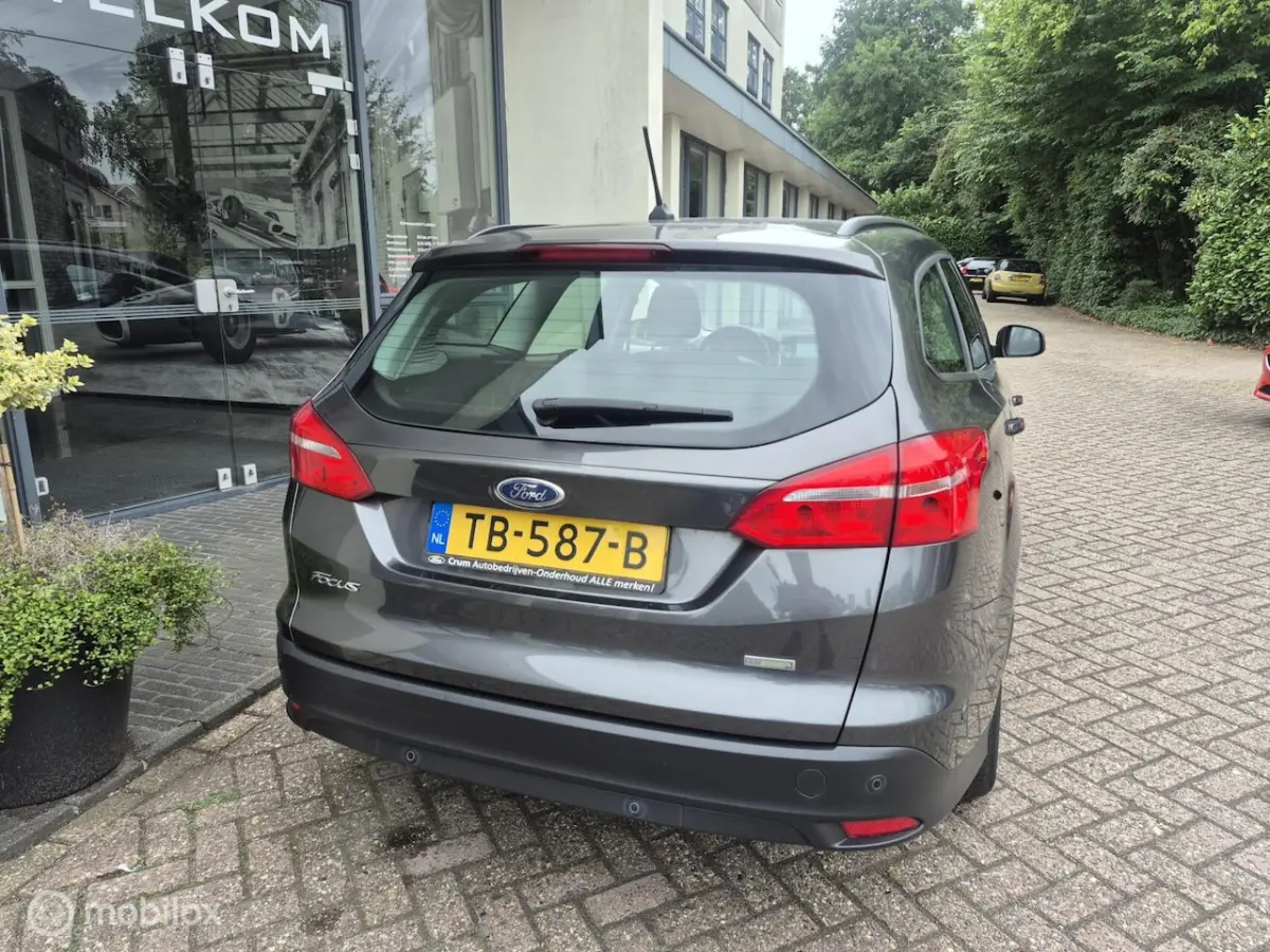 1.0 EcoBoost Trend Edition Navi|Winterpakket
