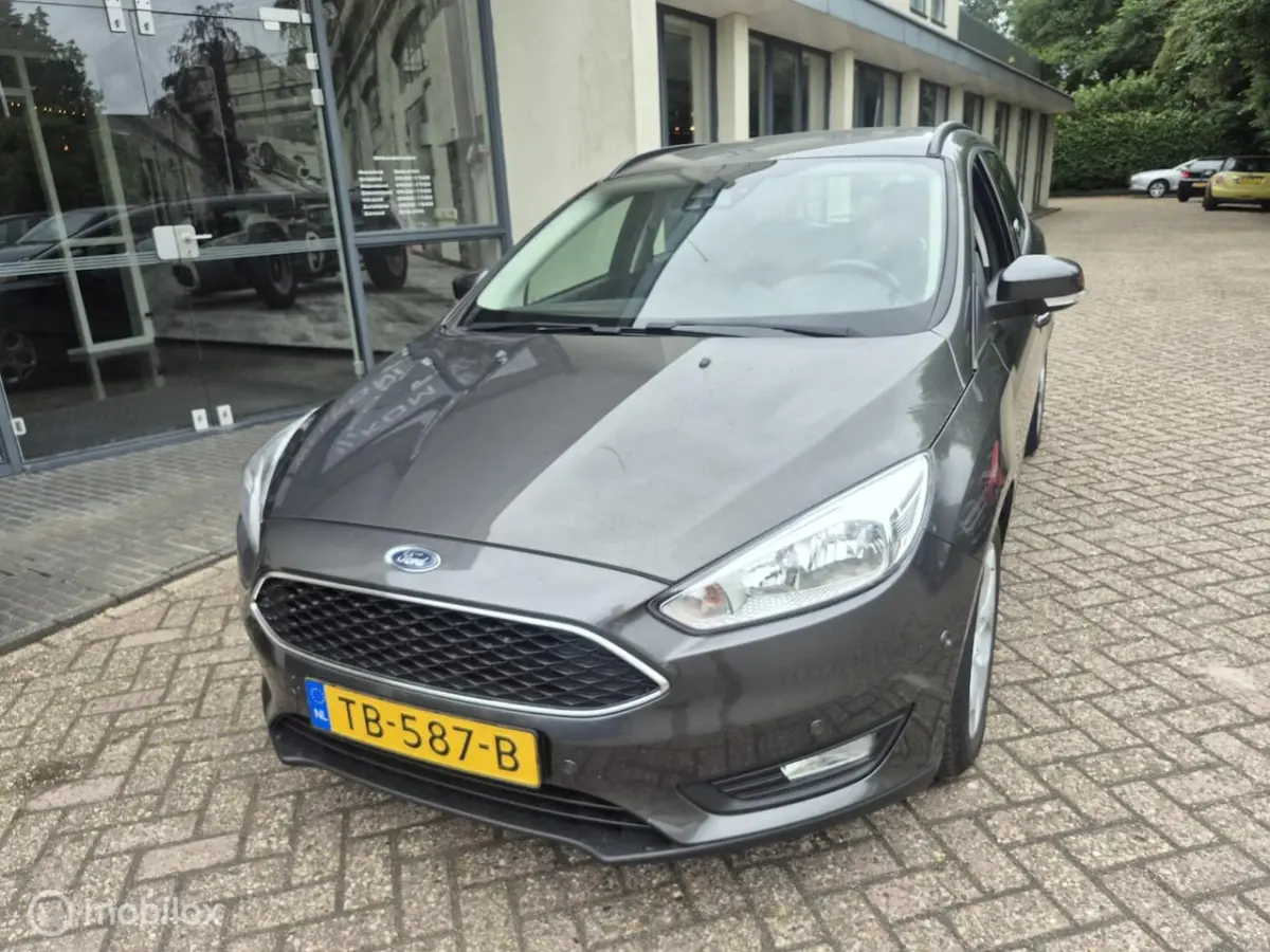 1.0 EcoBoost Trend Edition Navi|Winterpakket