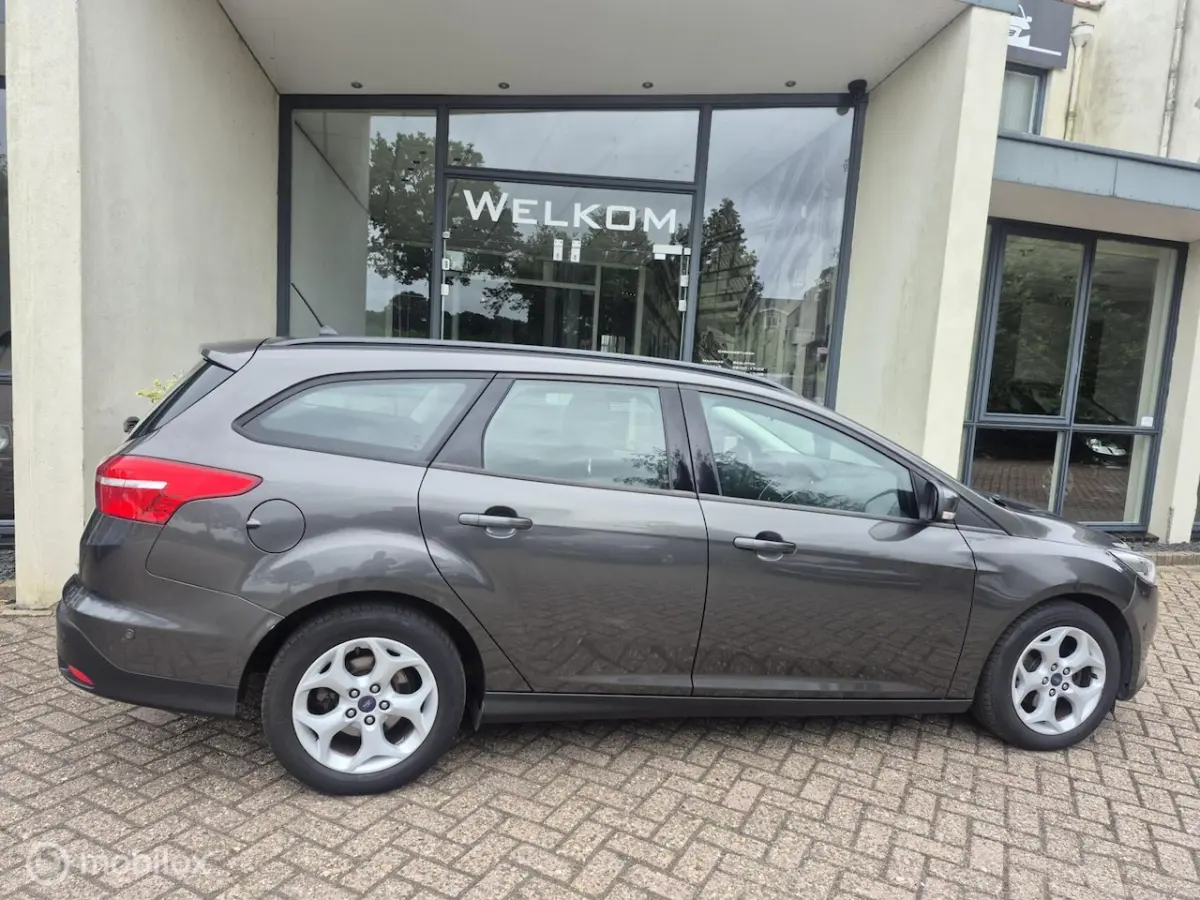 1.0 EcoBoost Trend Edition Navi|Winterpakket