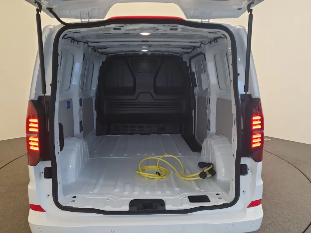 64 kWh Camera, App connect, Climatronic