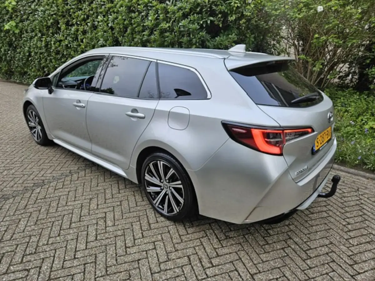 2.0 Hybrid Business Plus NL auto/Trekhaak