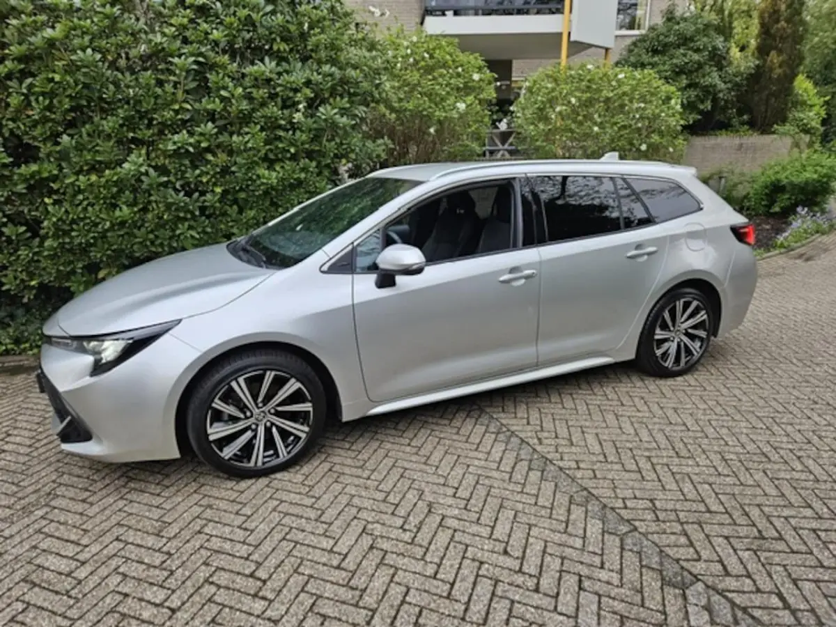 2.0 Hybrid Business Plus NL auto/Trekhaak