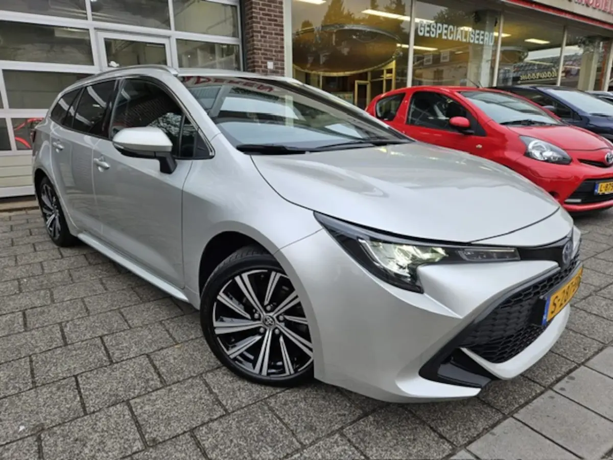 2.0 Hybrid Business Plus NL auto/Trekhaak