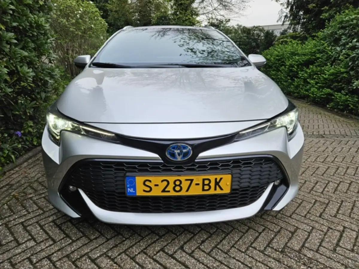 2.0 Hybrid Business Plus NL auto/Trekhaak