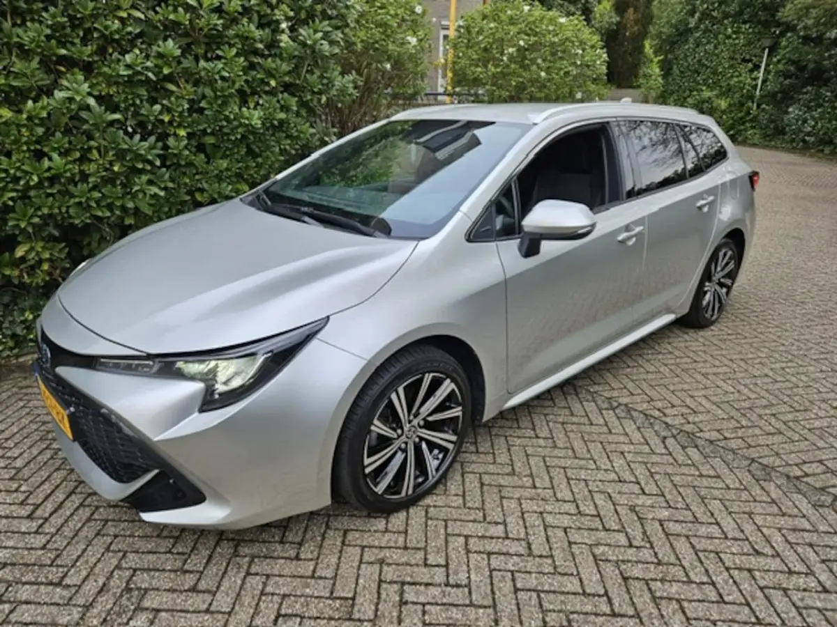 2.0 Hybrid Business Plus NL auto/Trekhaak