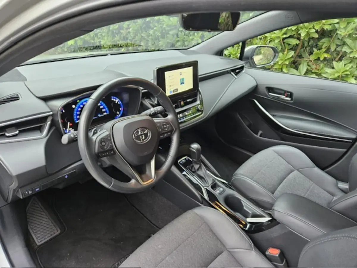2.0 Hybrid Business Plus NL auto/Trekhaak