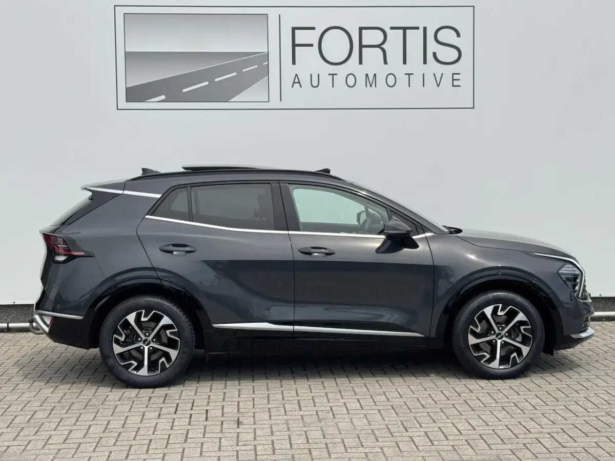 1.6 T-GDi Hybrid DynamicPlusLine NL-AUTO | PANODAK | LEDER | TREKHAAK |