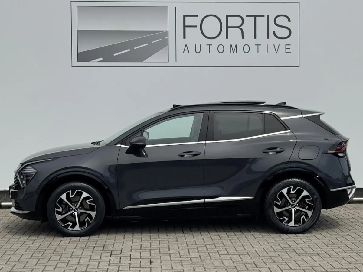 1.6 T-GDi Hybrid DynamicPlusLine NL-AUTO | PANODAK | LEDER | TREKHAAK |