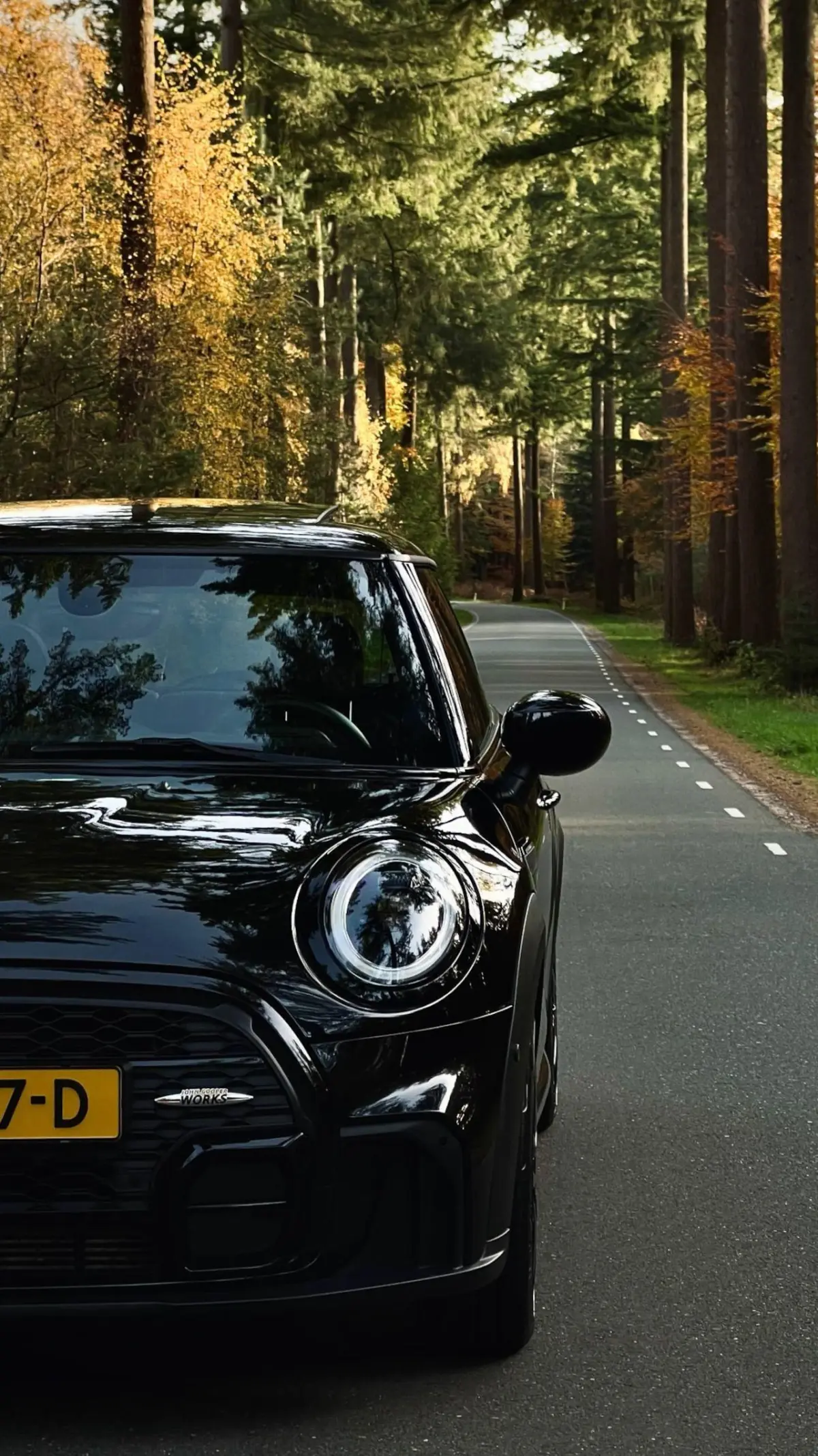 1.5 Cooper PANODAK | LEDER | HARMAN KARDON | DEALER ONDERH | CAMERA | HEAD - UP |