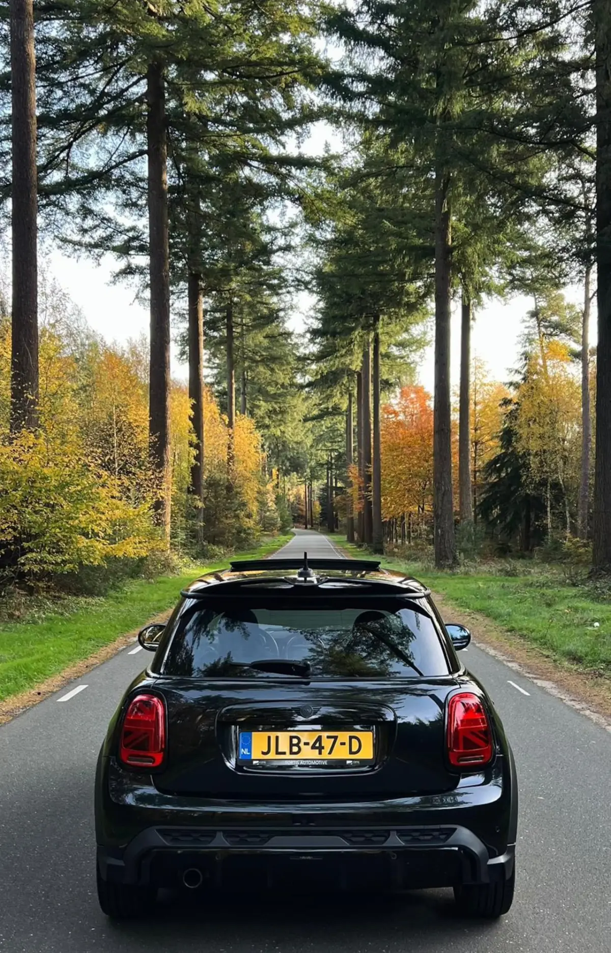 1.5 Cooper PANODAK | LEDER | HARMAN KARDON | DEALER ONDERH | CAMERA | HEAD - UP |