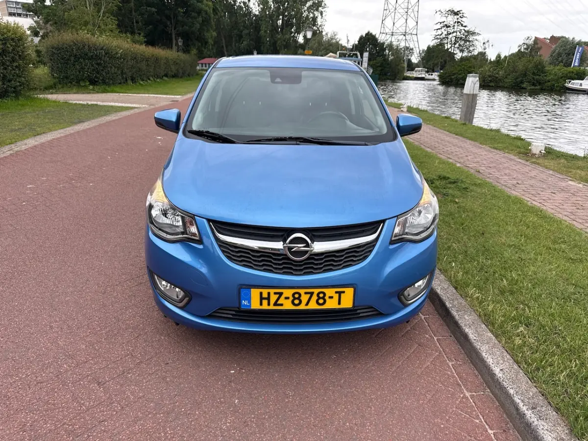 1.0 ecoFLEX Cosmo