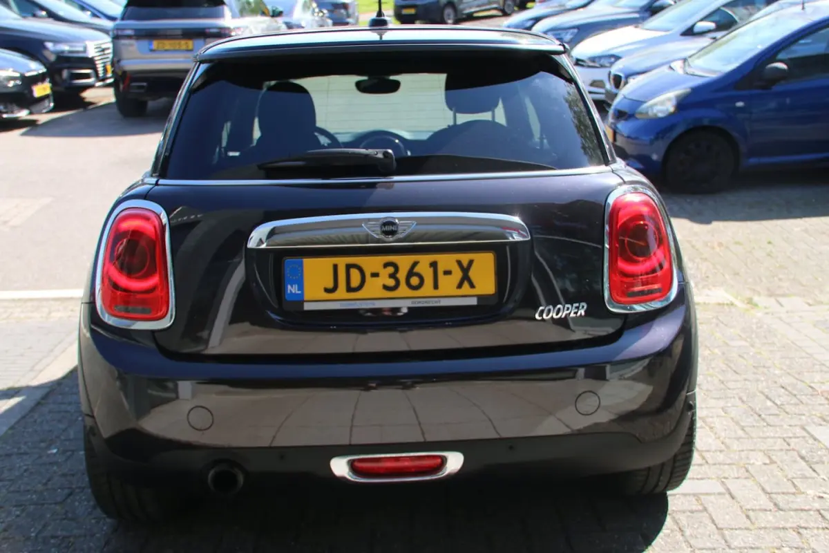 1.5 Business