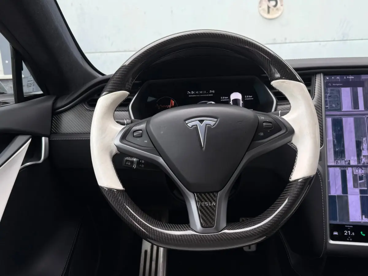 Performance Ludicrous Full Self Driving NAP