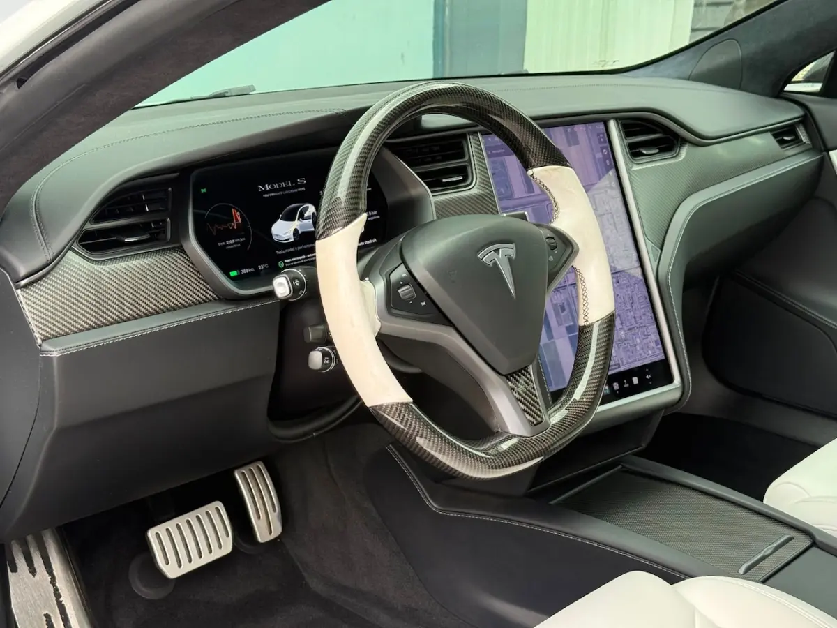 Performance Ludicrous Full Self Driving NAP