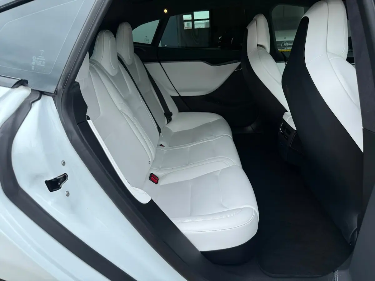 Performance Ludicrous Full Self Driving NAP