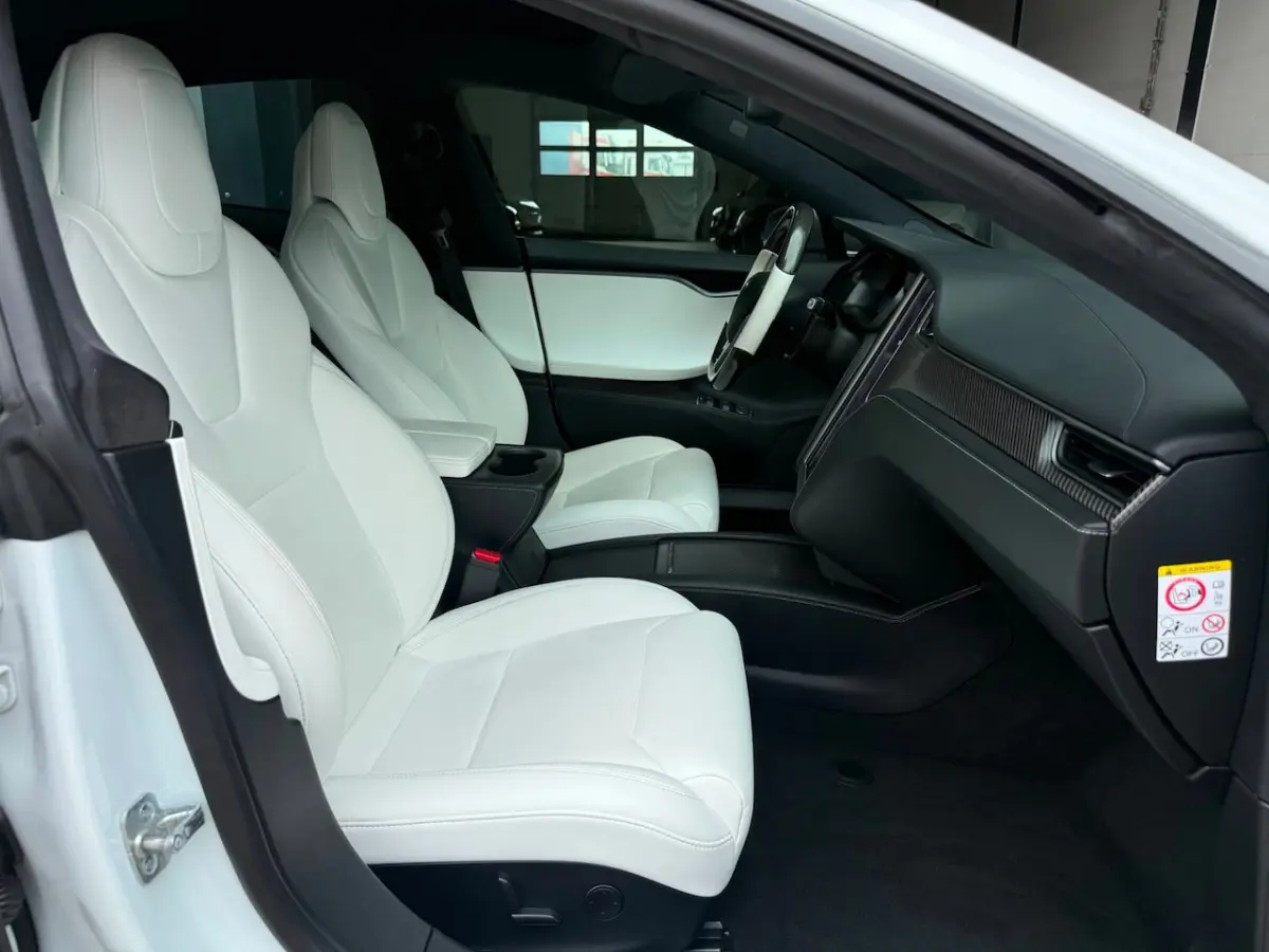 Performance Ludicrous Full Self Driving NAP