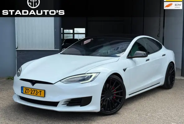 Performance Ludicrous Full Self Driving NAP