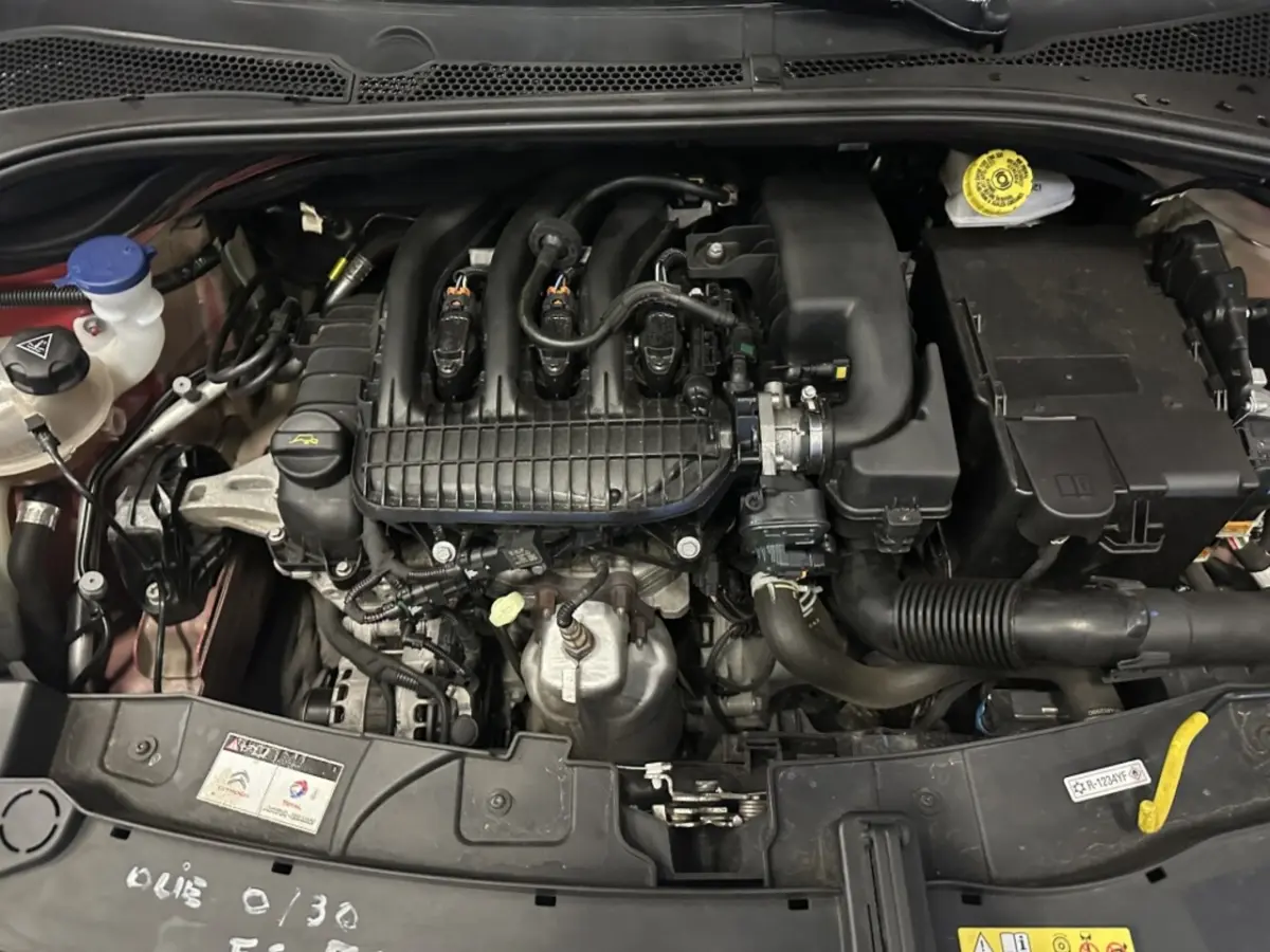 1.2 PT S&S Shine | lage kmstand |
