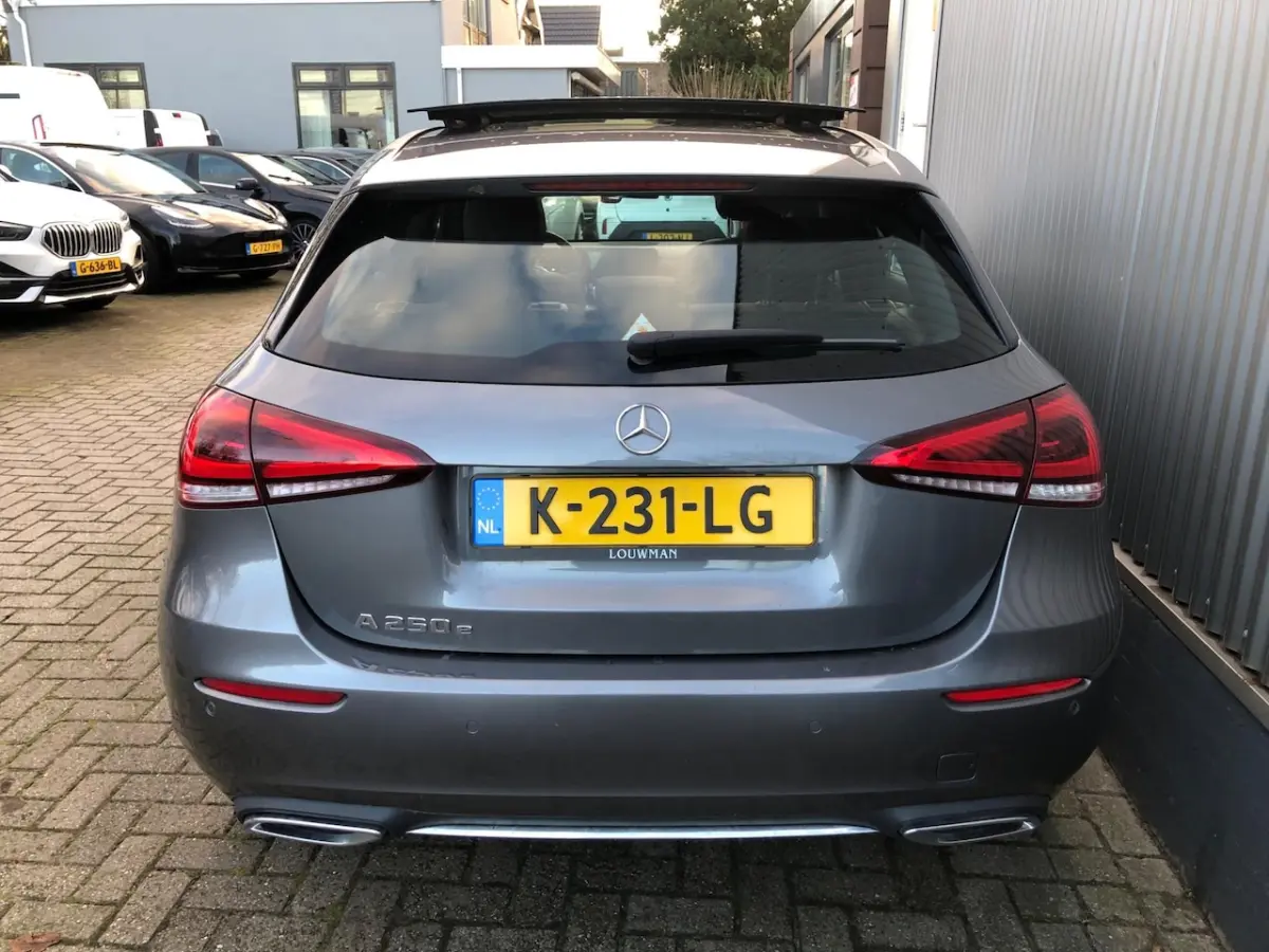 250 e Business /ELEKTR.SCHUIF PANORAMADAK /CAMERA/ LEDER / NAVI