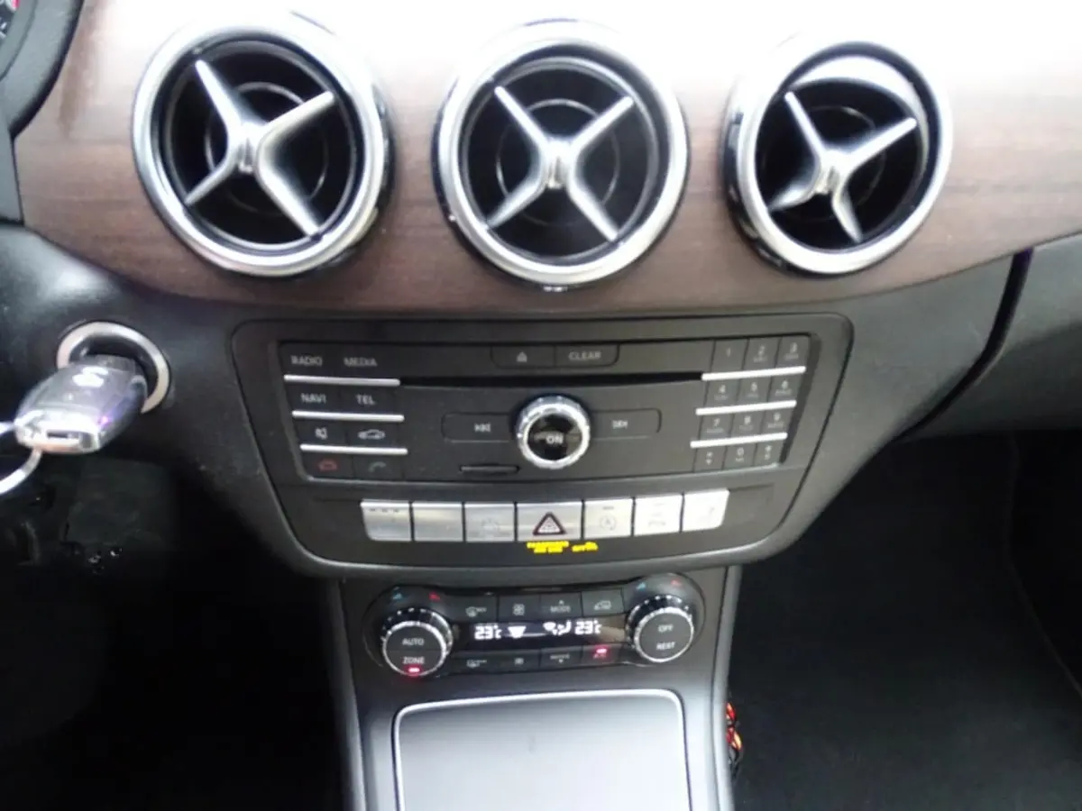 250 AMBITION-Navi-Cruise-Leer-Trkh